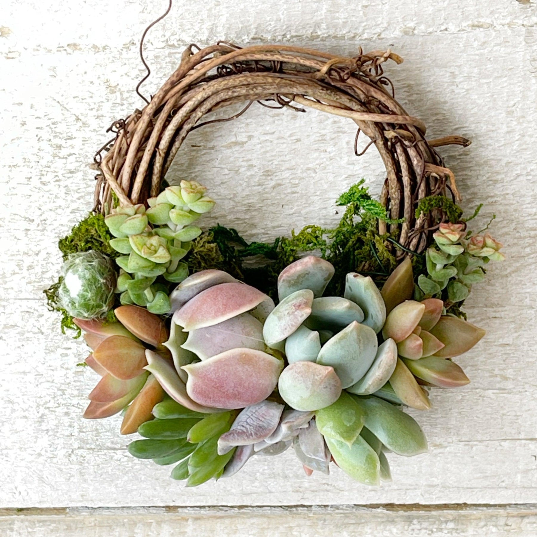 Succulent Trimmed Pixie Wreath.