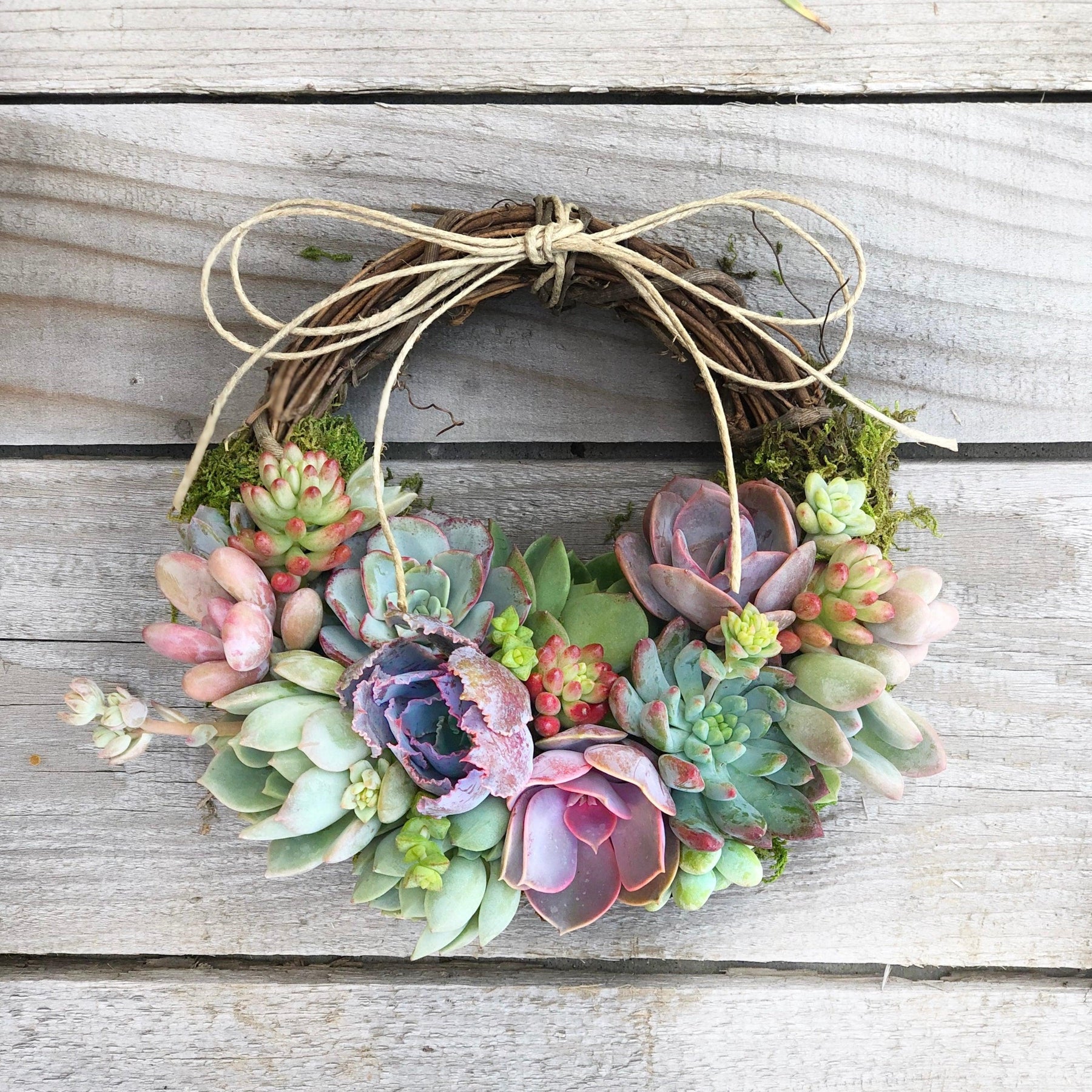 Succulent Trimmed Pixie Wreath.