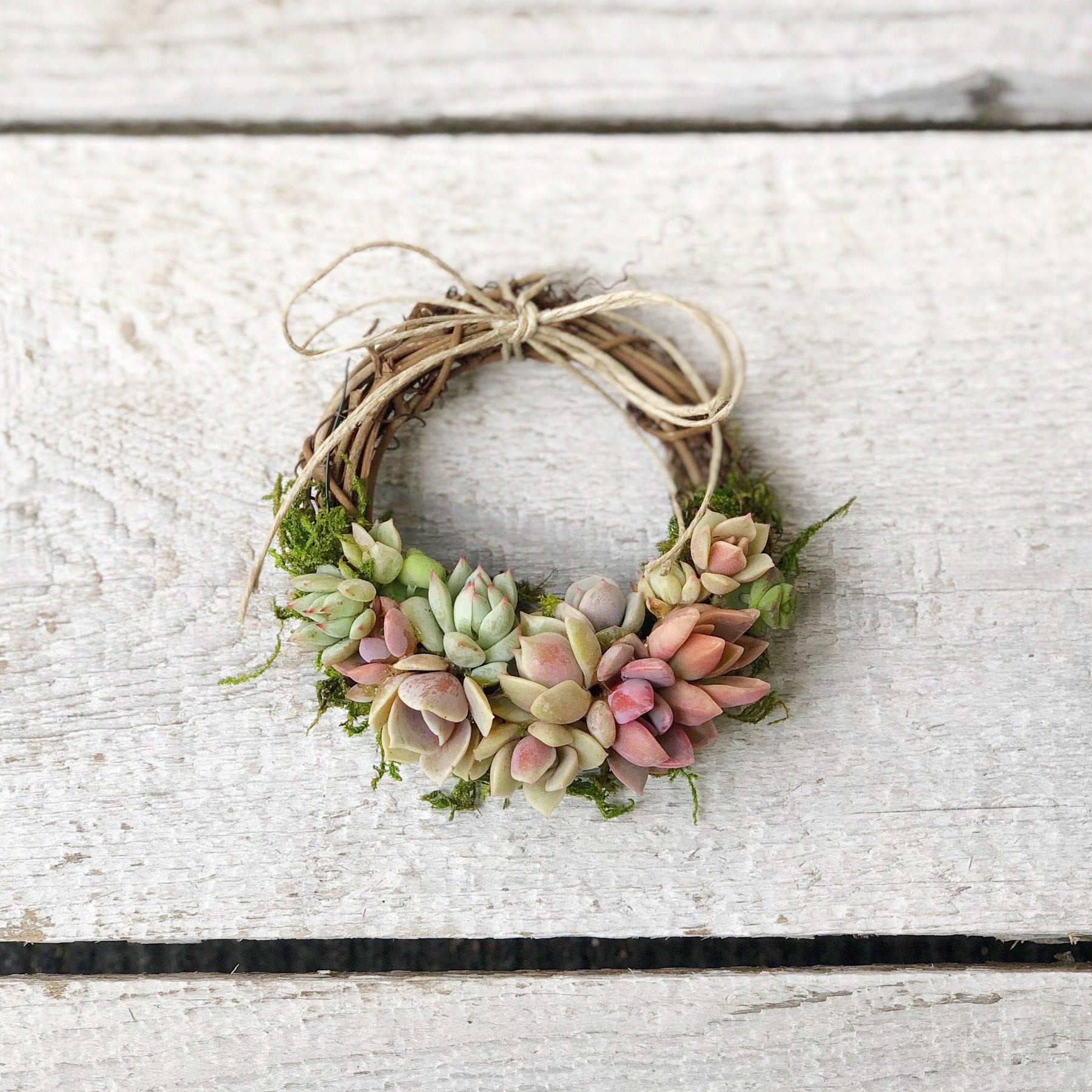 Succulent Trimmed Pixie Wreath.