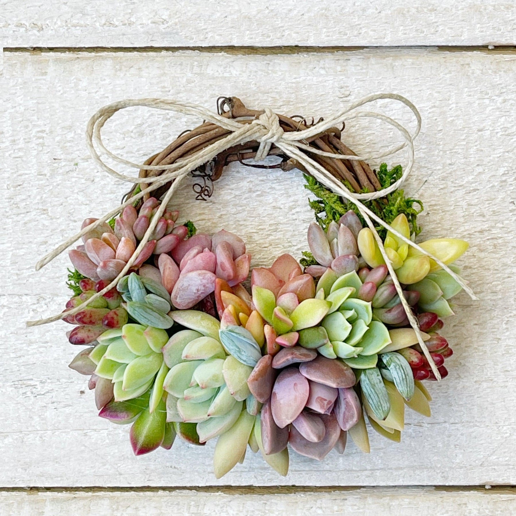 Succulent Trimmed Pixie Wreath.