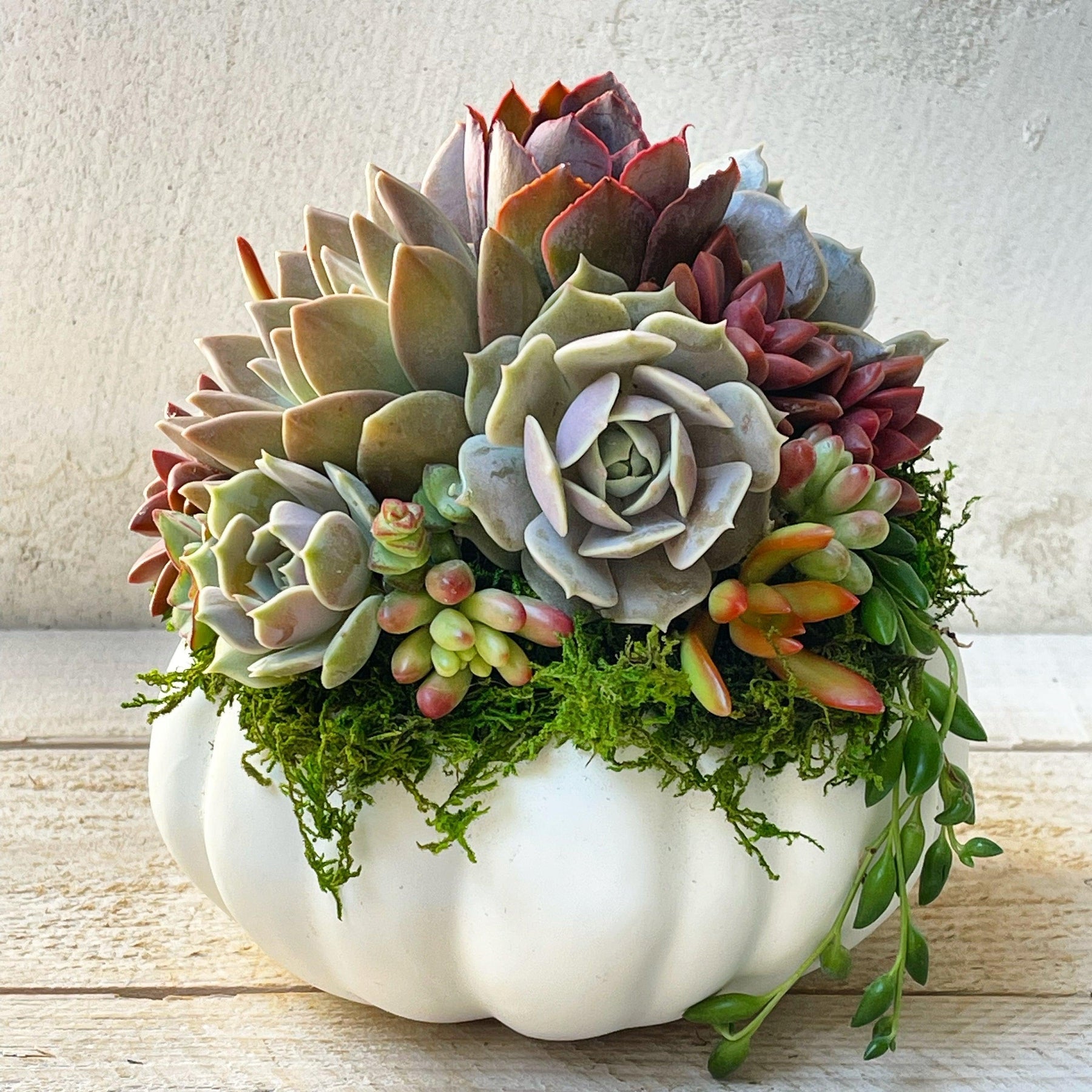 Succulent Trimmed Pumpkins.