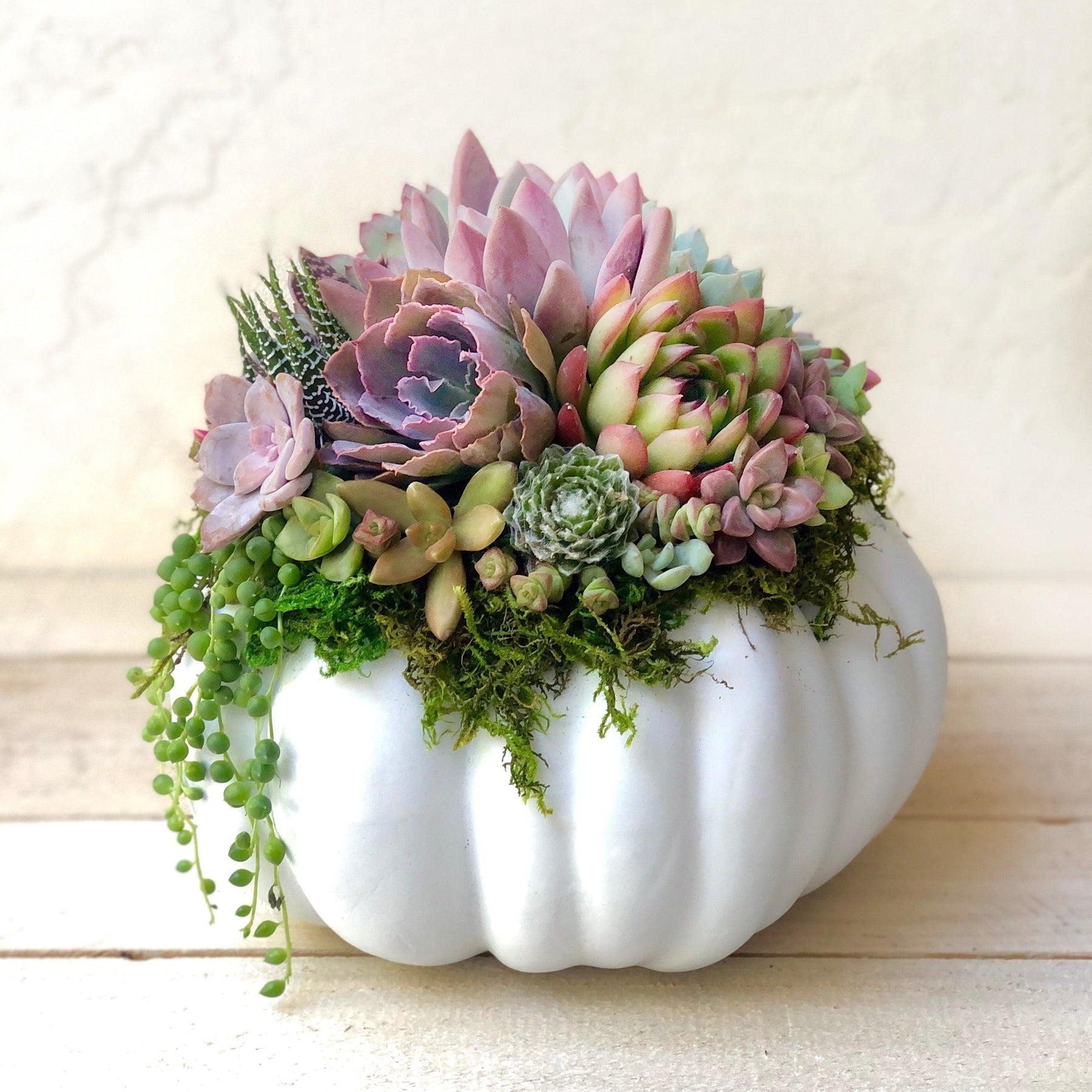 Succulent Trimmed Pumpkins.