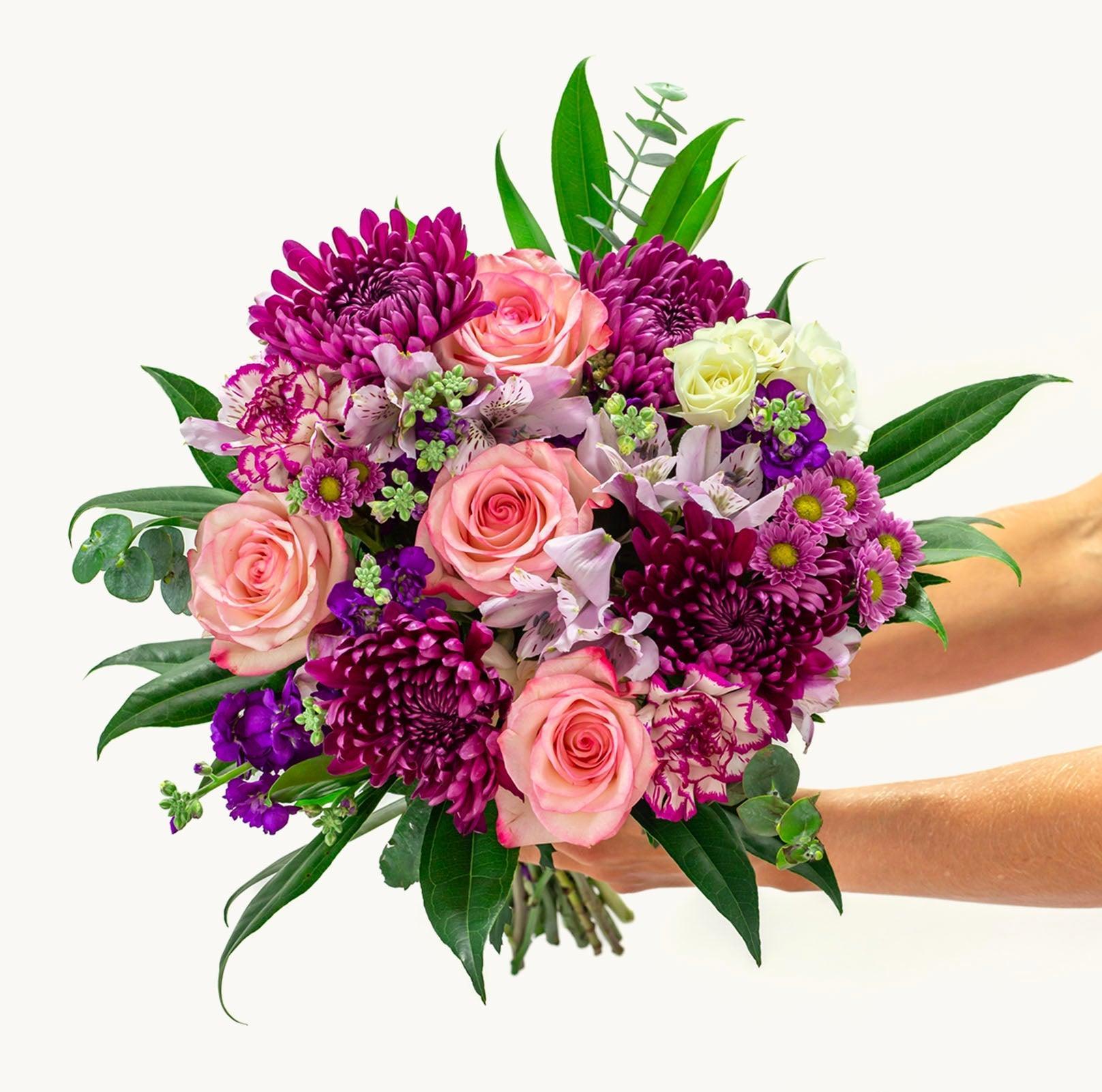 Sunset Garden-The Succulent Source