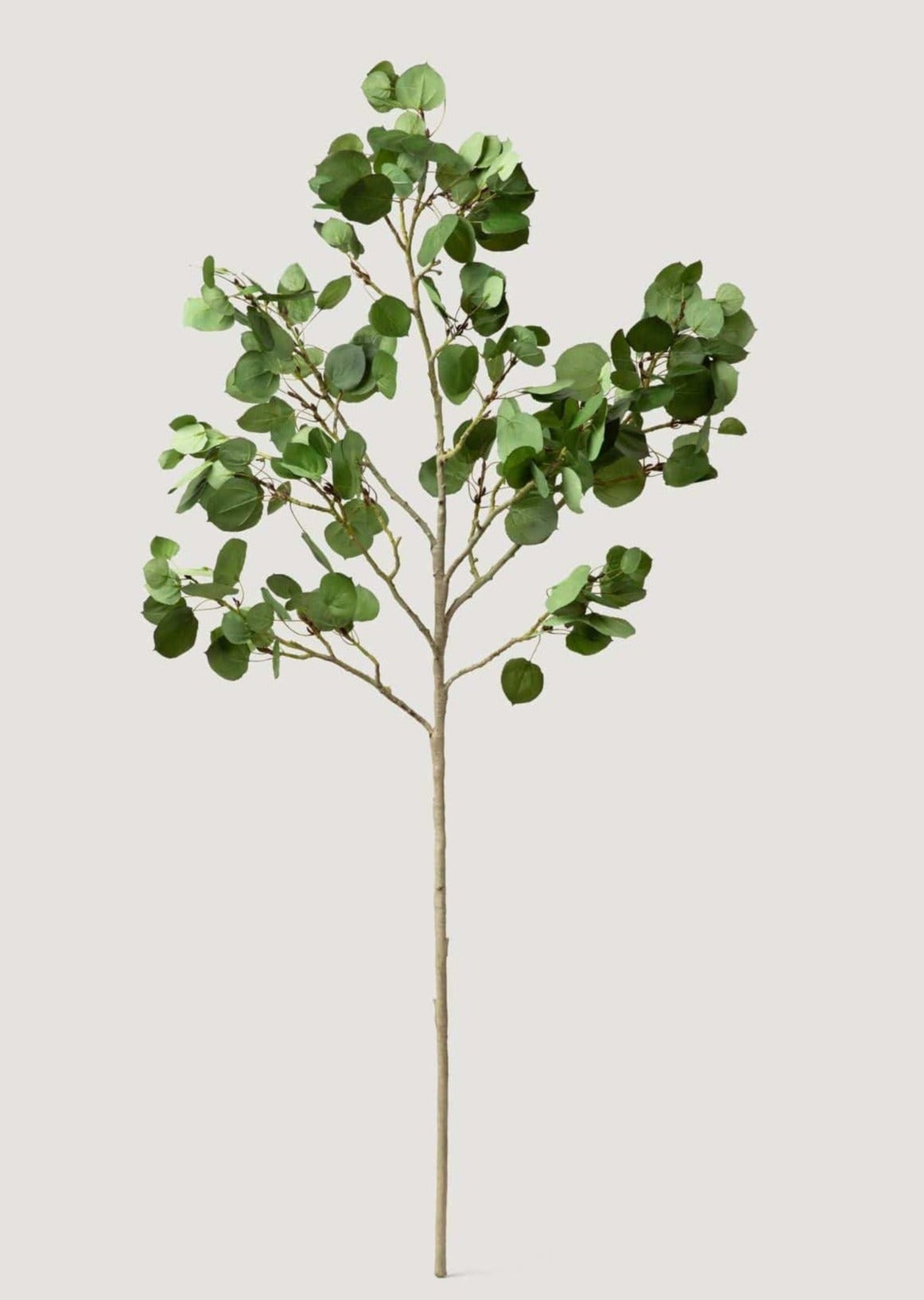 Tall Luxe Artificial Aspen Branch - 51"-Everyday Plants-The Succulent Source