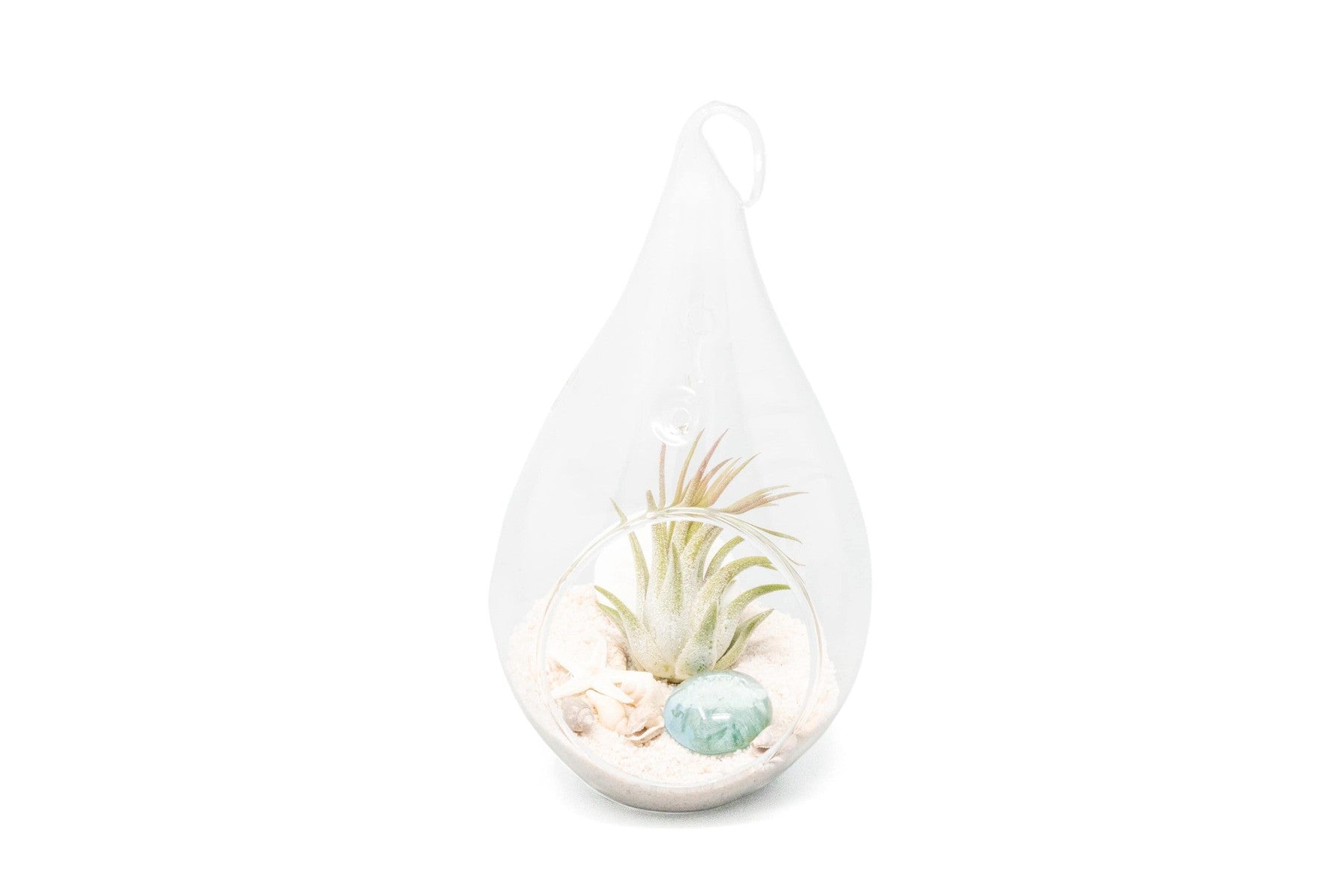 Teardrop Beach Terrarium with White Sand-terrarium-The Succulent Source