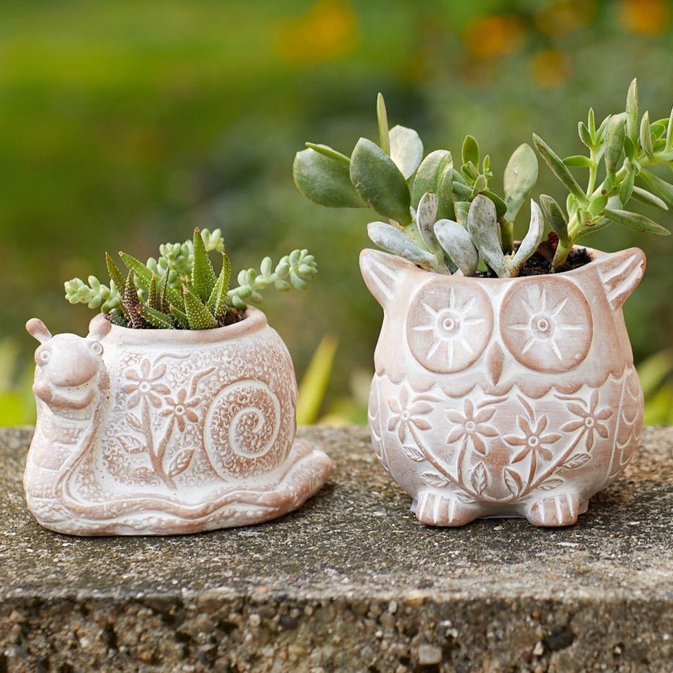 Terracotta Owl Planter Pot-Pots & Planters-The Succulent Source