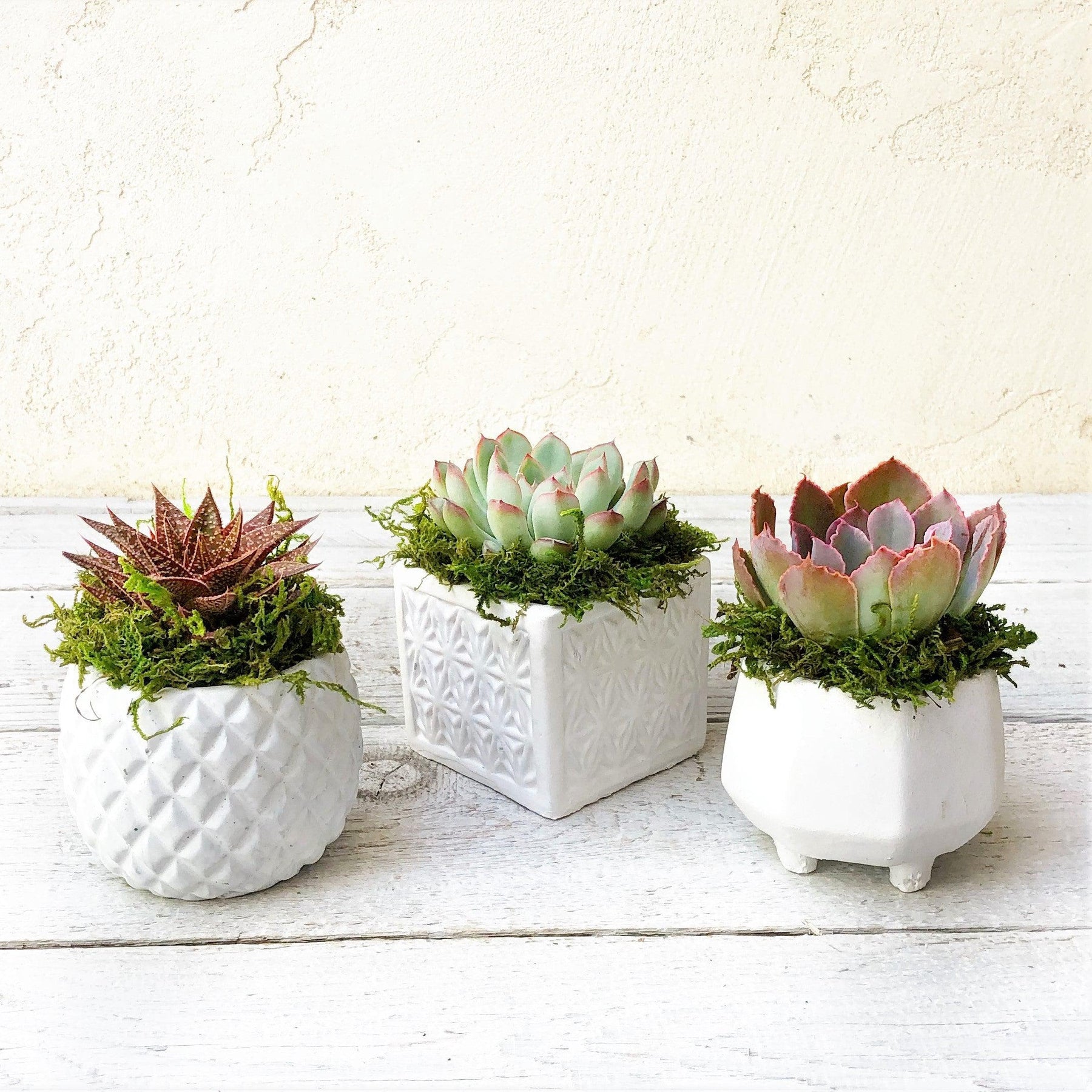 Tiffany Trio of Small White Geometric Pots.