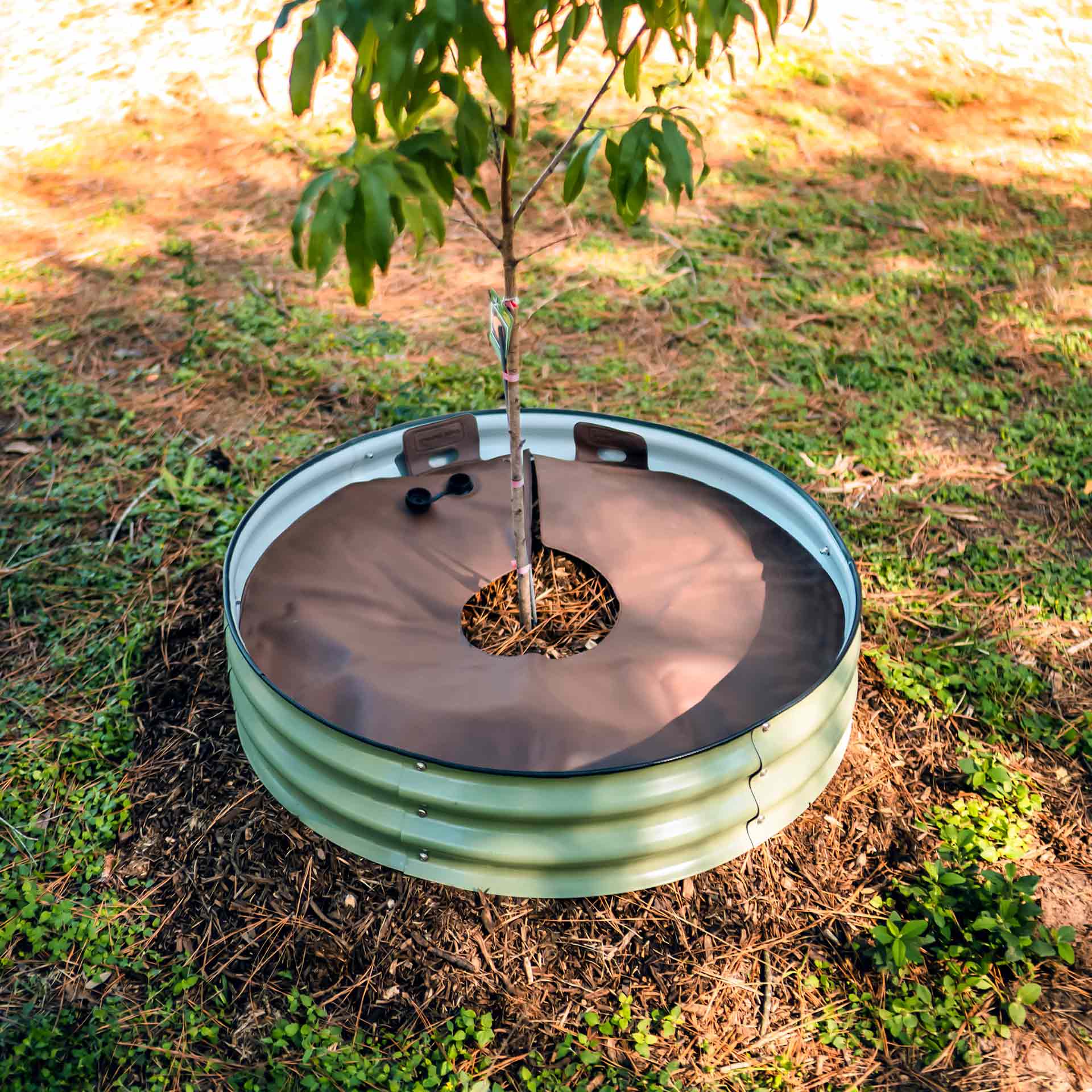 Tree Surround & Watering Ring Kit-Garden beds-The Succulent Source