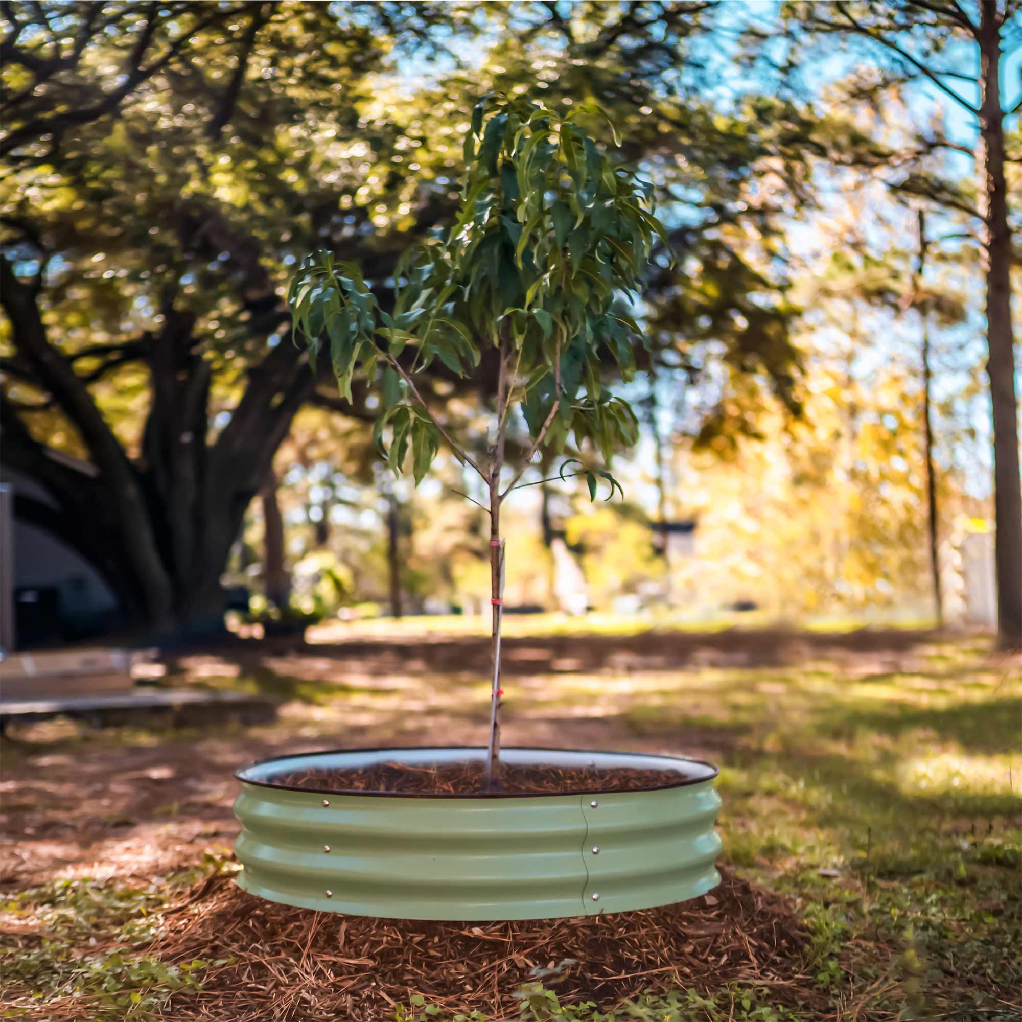 Tree Surround & Watering Ring Kit-Garden beds-The Succulent Source