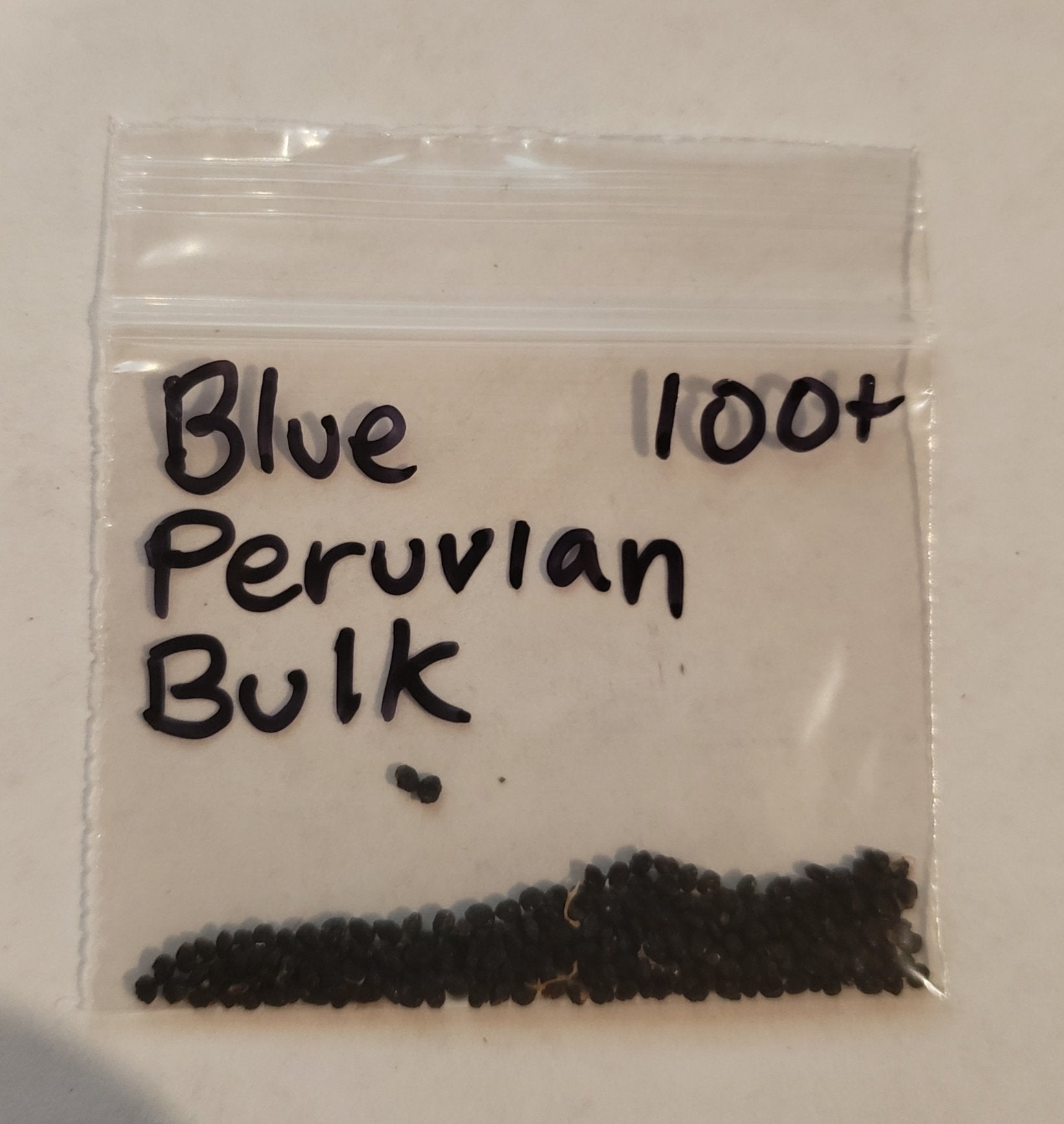 #I-500 Trichocereus Ornamental Cactus Seeds Pachanoi Peruvian & others-Cactus - Large - Exact-The Succulent Source