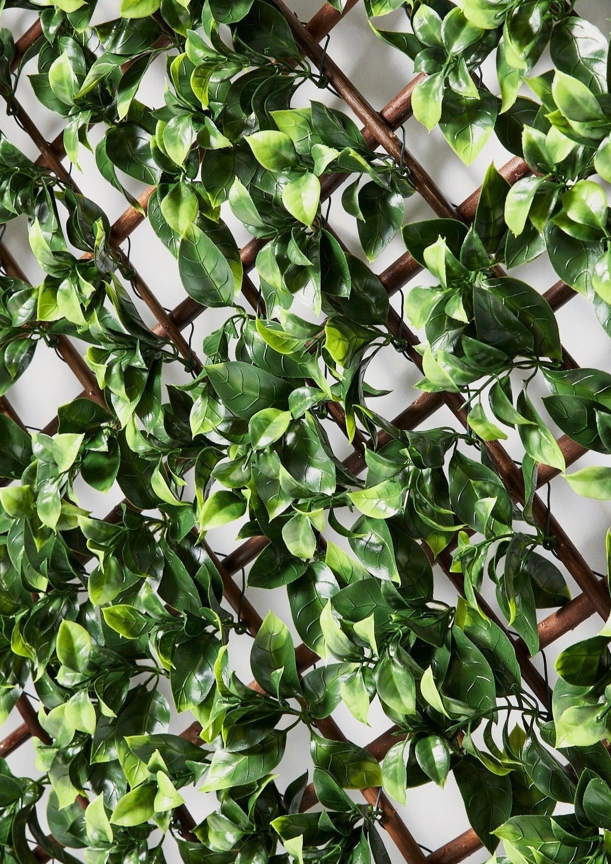 UV Resistant Faux Indoor/Covered Outdoor Gardenia Trellis Fence - 78.5"-Everyday Plants-The Succulent Source