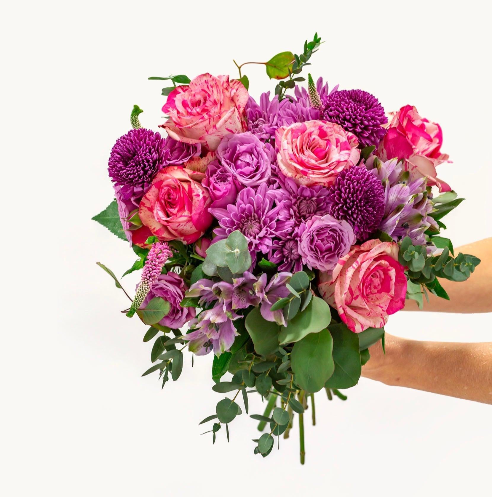 Vineyard Blush-The Succulent Source