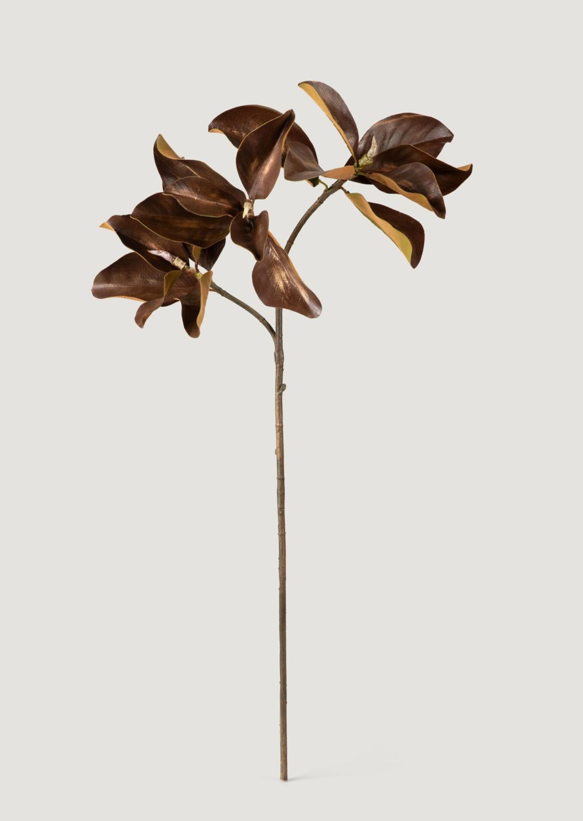 Warm Aged Fake Magnolia Leaf Branch - 38.5"-Everyday Plants-The Succulent Source