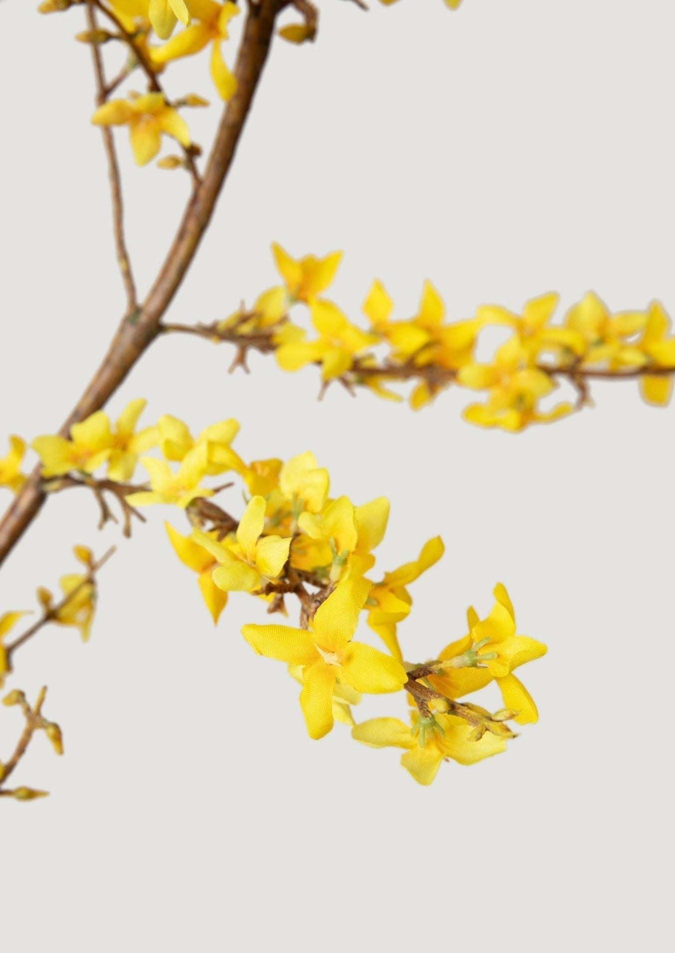 Yellow Faux Spring Forsythia Branch - 50"-Blooming Flowers-The Succulent Source