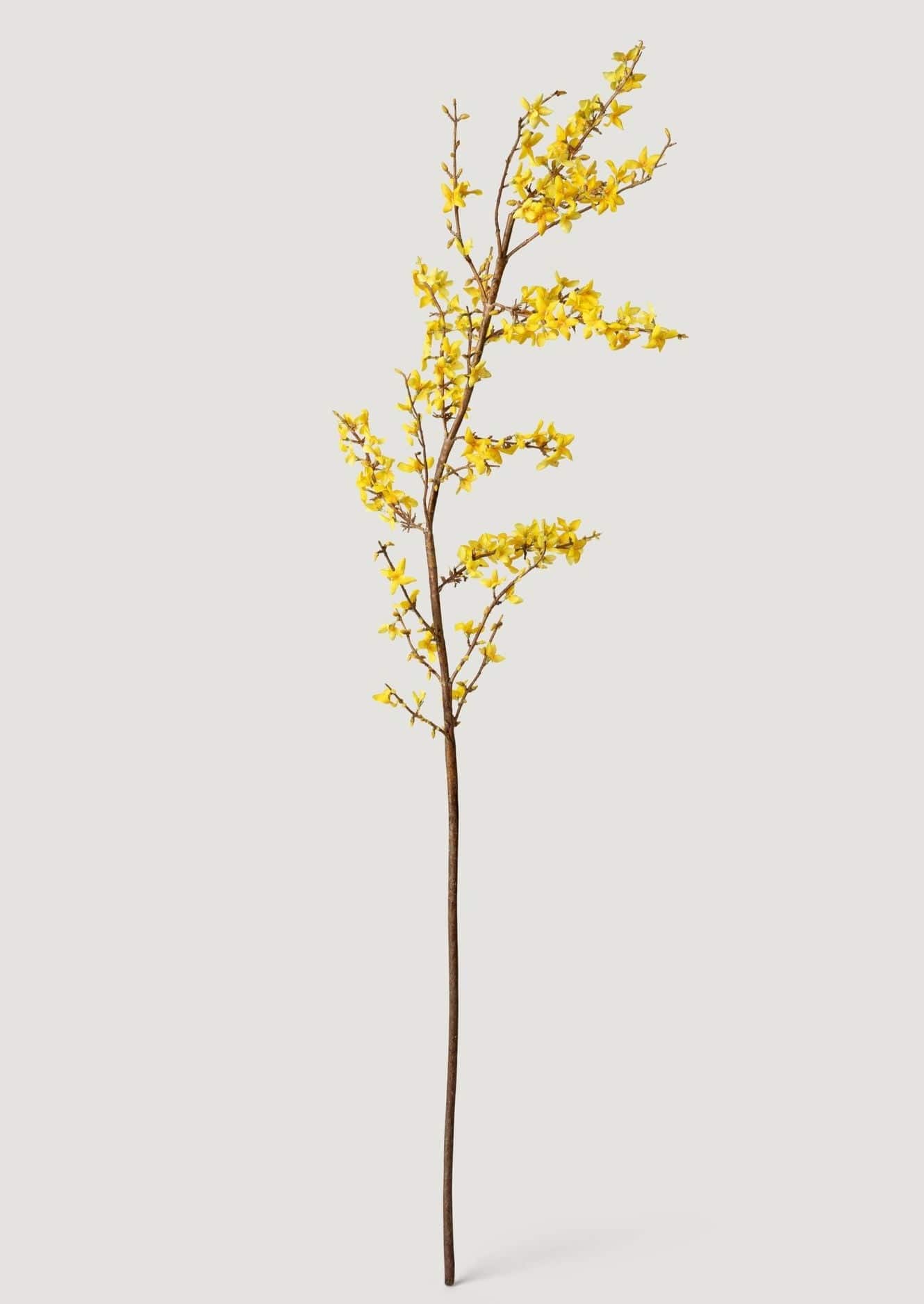 Yellow Faux Spring Forsythia Branch - 50"-Blooming Flowers-The Succulent Source