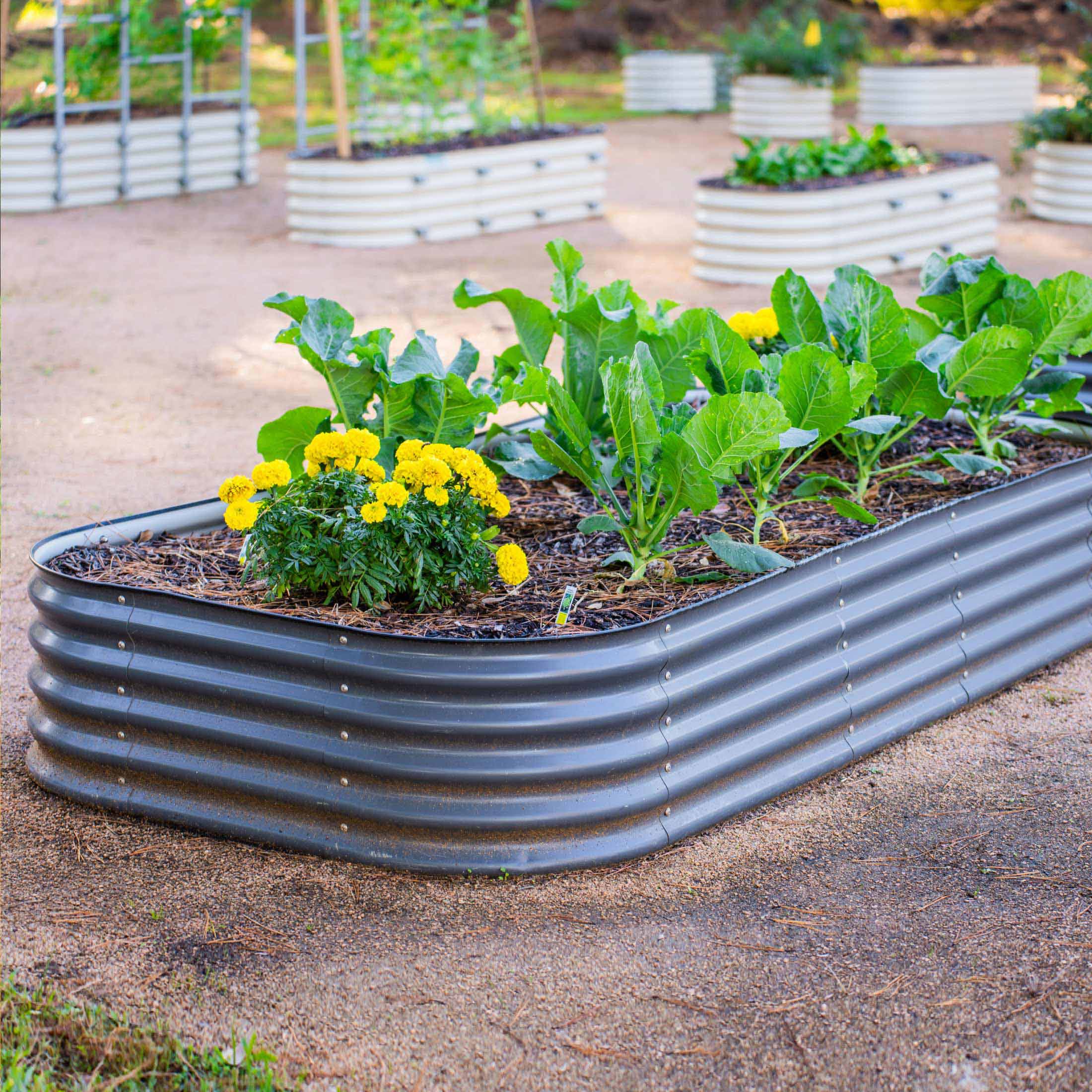 17" Tall 10 In 1 Jumbo Modular Metal Raised Garden Bed Kit-Garden beds-The Succulent Source