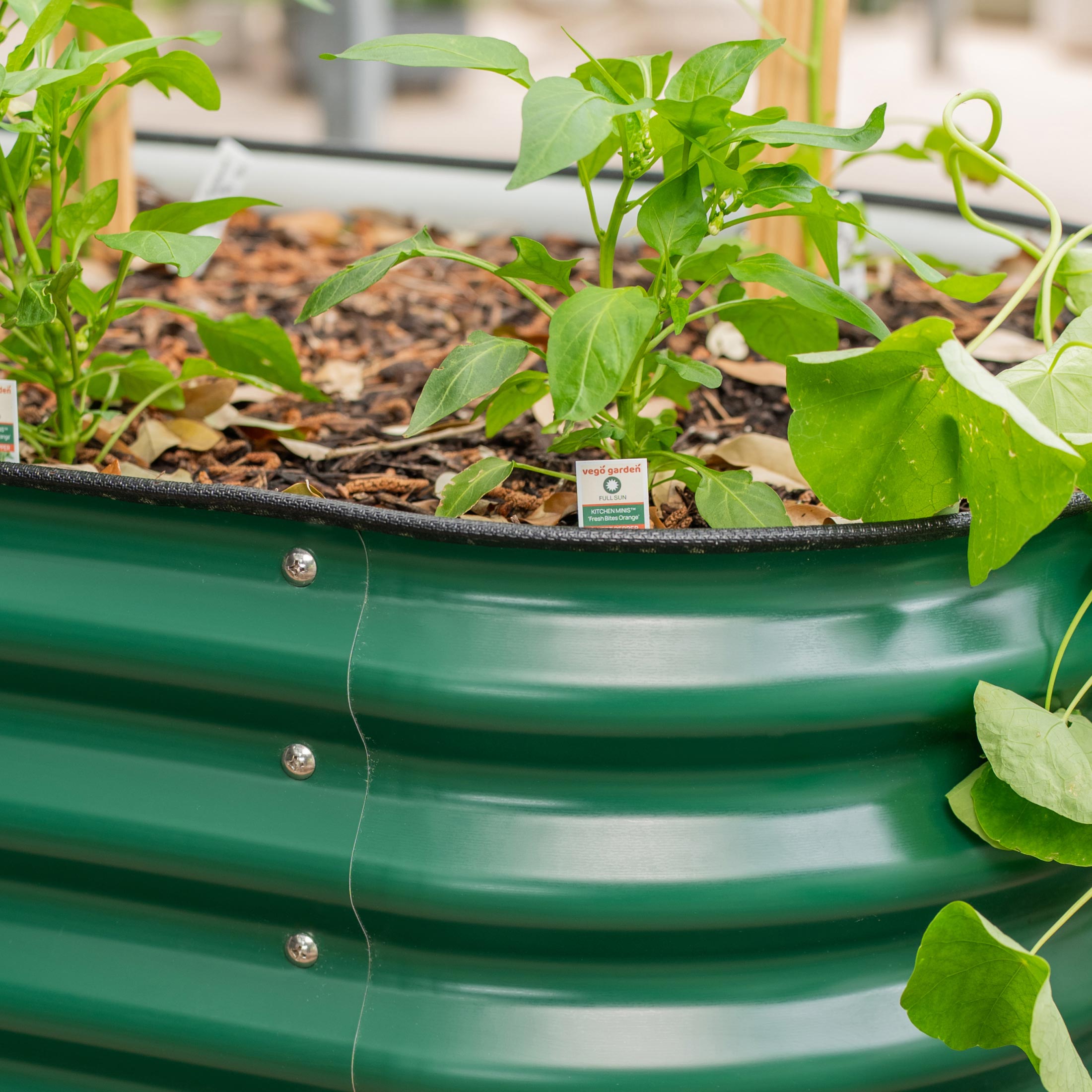 Elevated Rolling Self-Watering Garden Bed