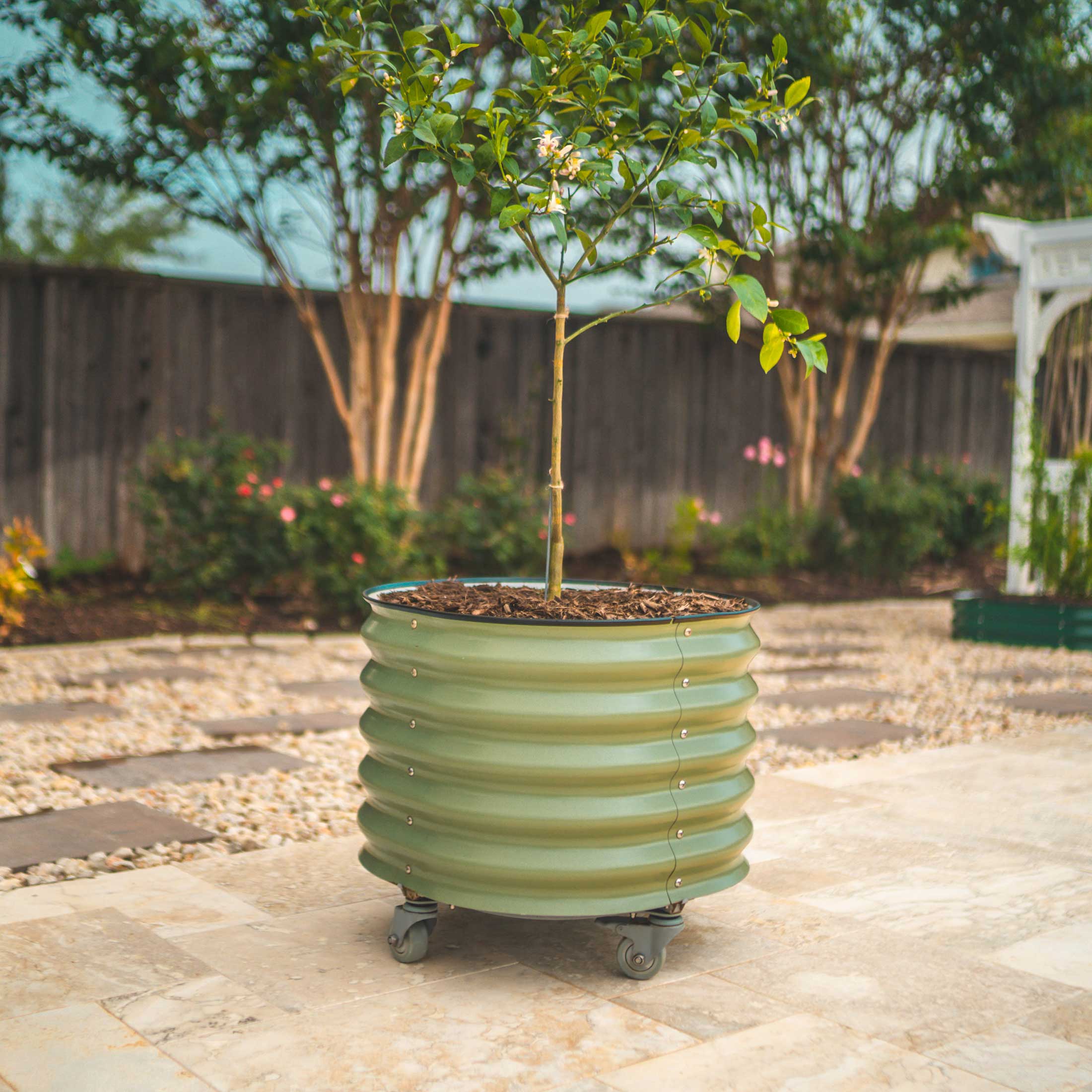 Self-Watering Rolling Planter