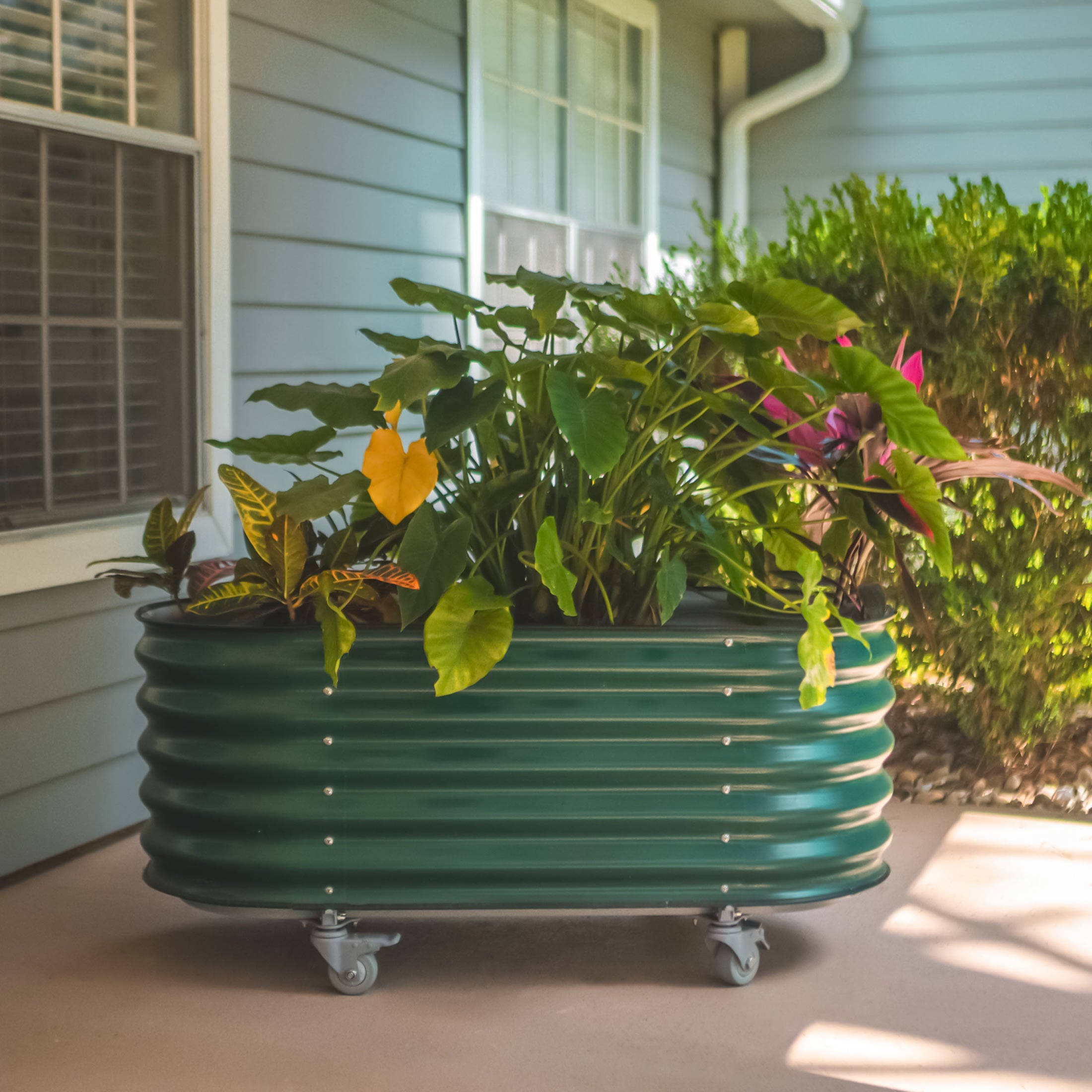 Self Watering Rolling Garden Bed