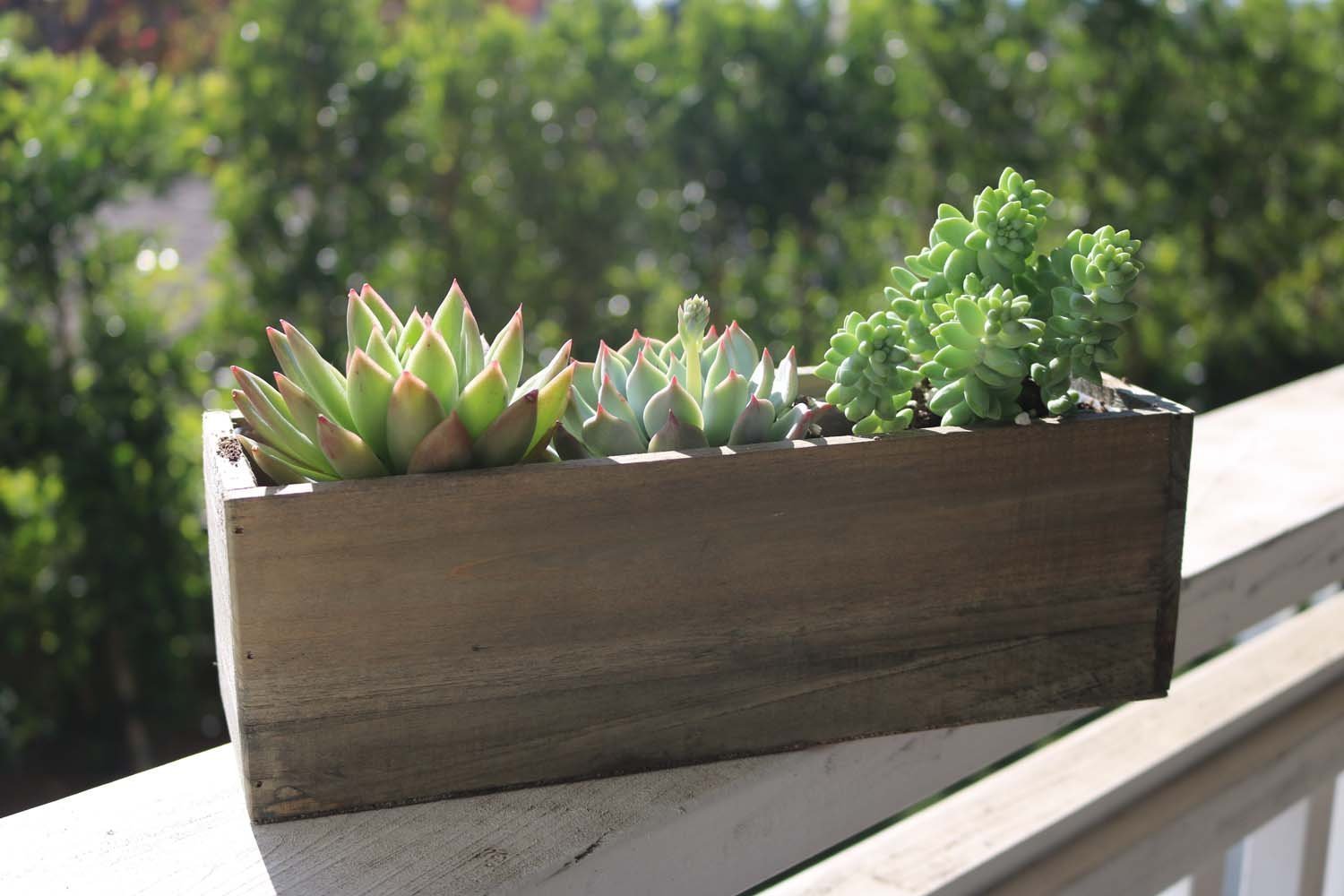 succulent planter box reclaimed centerpiece wedding