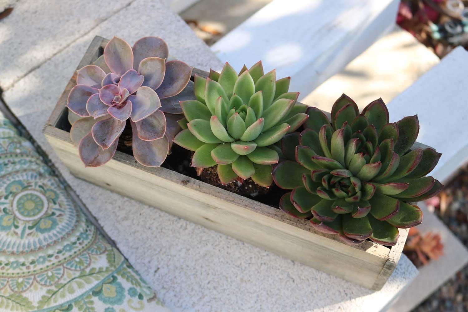 succulent planter box reclaimed centerpiece wedding