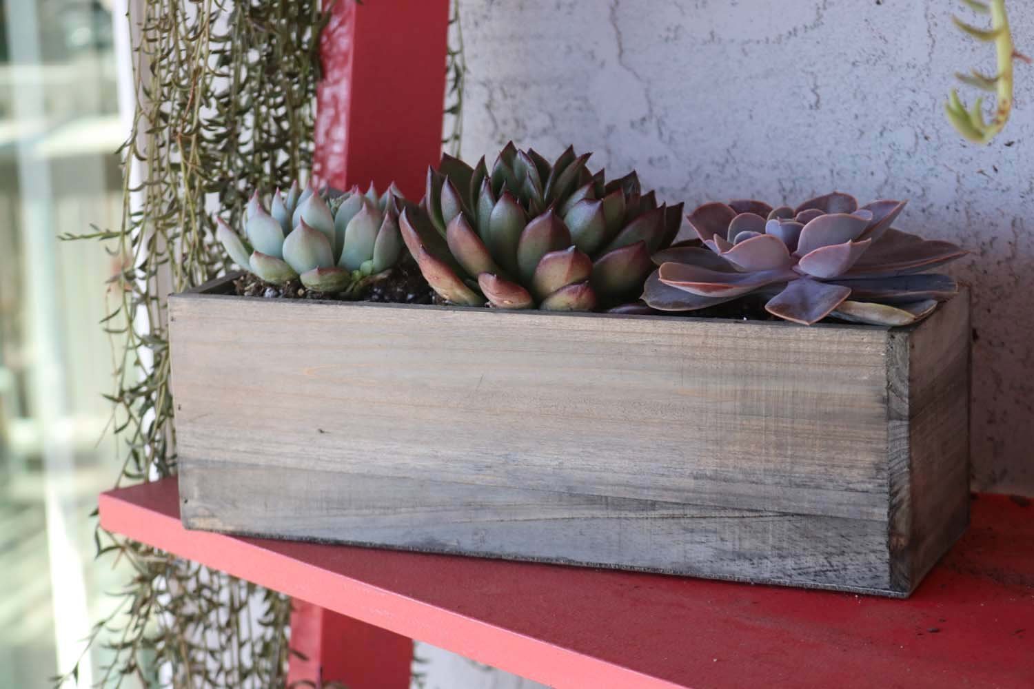 succulent planter box reclaimed centerpiece wedding