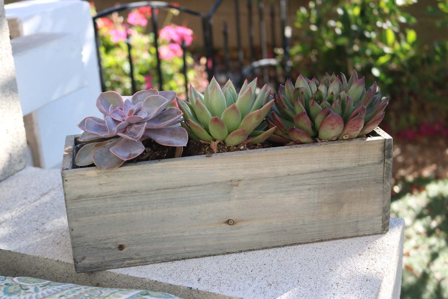 succulent planter box reclaimed centerpiece wedding