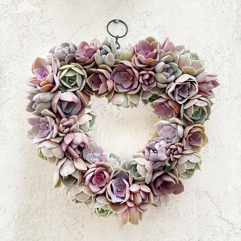 Angelique Heart-Shaped Succulent Wreath.