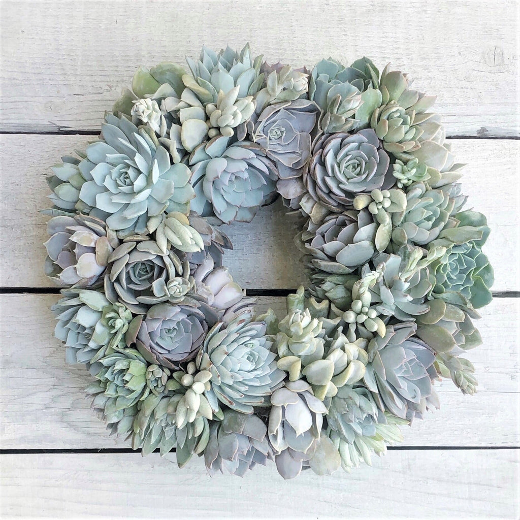 Succulent Arrangement Beach Cottage Wreath In Shades Of Blue succulent-arrangement-beach-cottage-wreath-in-shades-of-blue