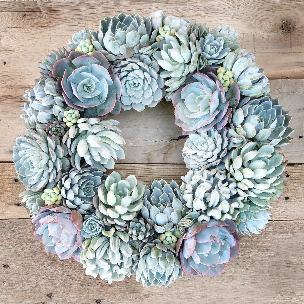 Succulent Arrangement Beach Cottage Wreath In Shades Of Blue succulent-arrangement-beach-cottage-wreath-in-shades-of-blue