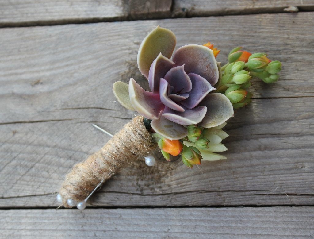 succulent boutonniere Boutonniere Cutting