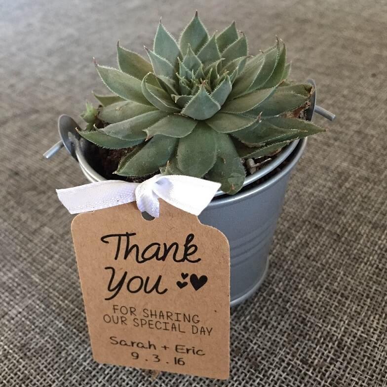 succulent favor tags 20 Pack