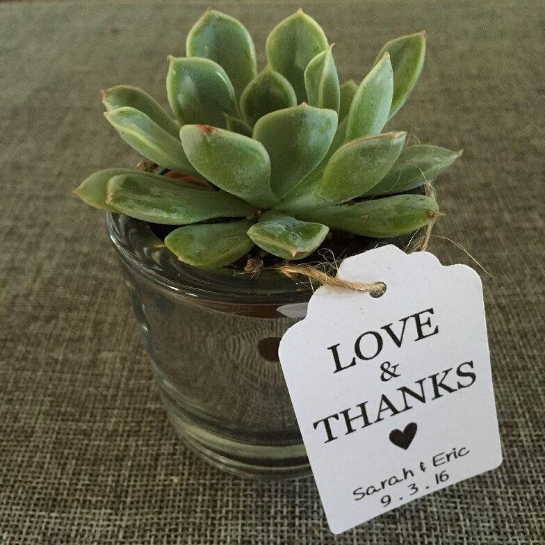 20 Hanging CUSTOM Favor Tags bulk wholesale succulent prices at the succulent source - 7