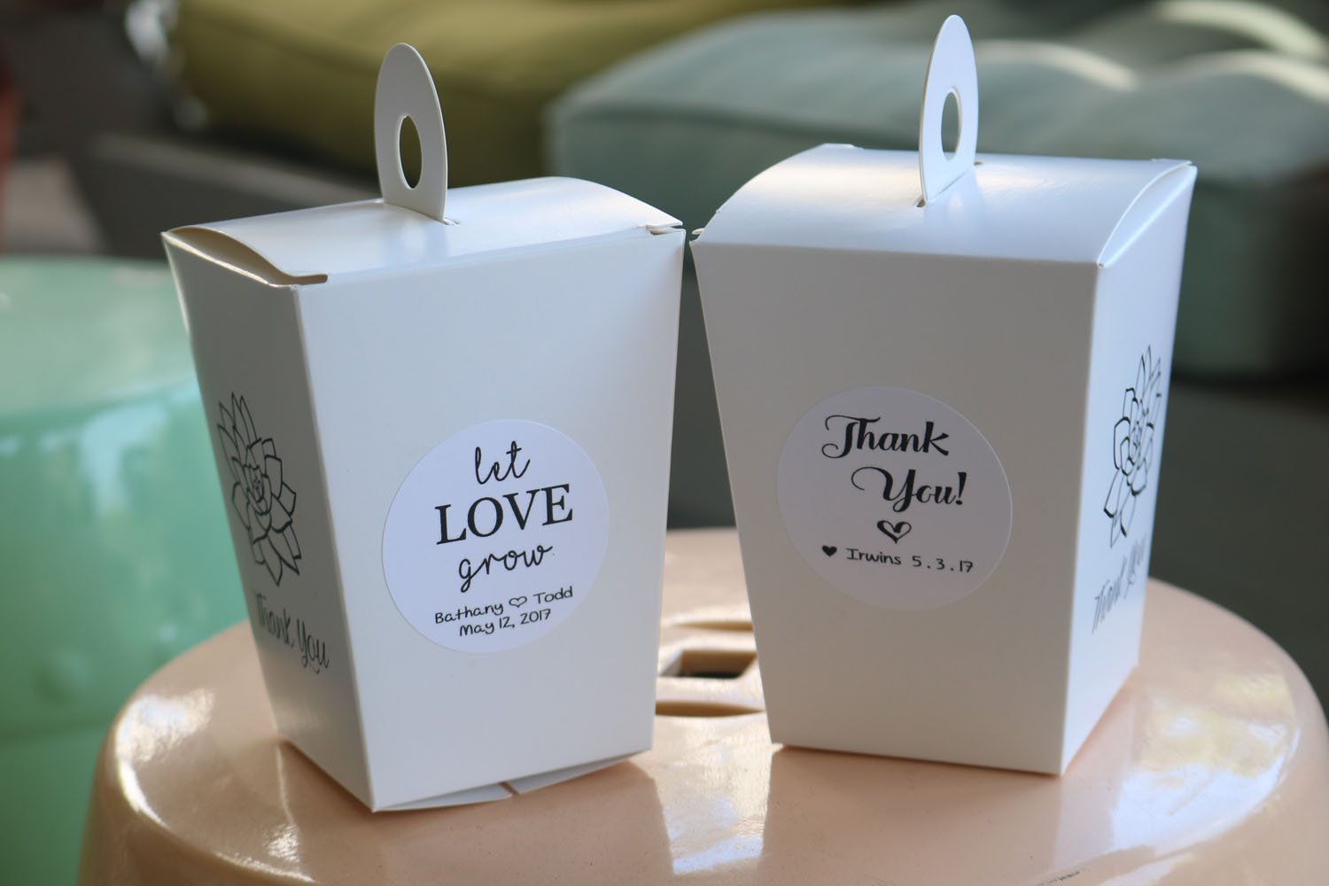 12 CUSTOM Stickers for To-Go Boxes-Accessory-The Succulent Source