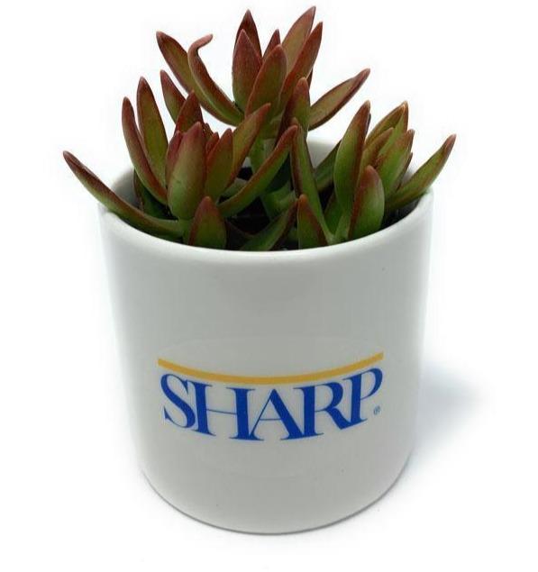 Ceramic Gift-Succulent - Gift-The Succulent Source