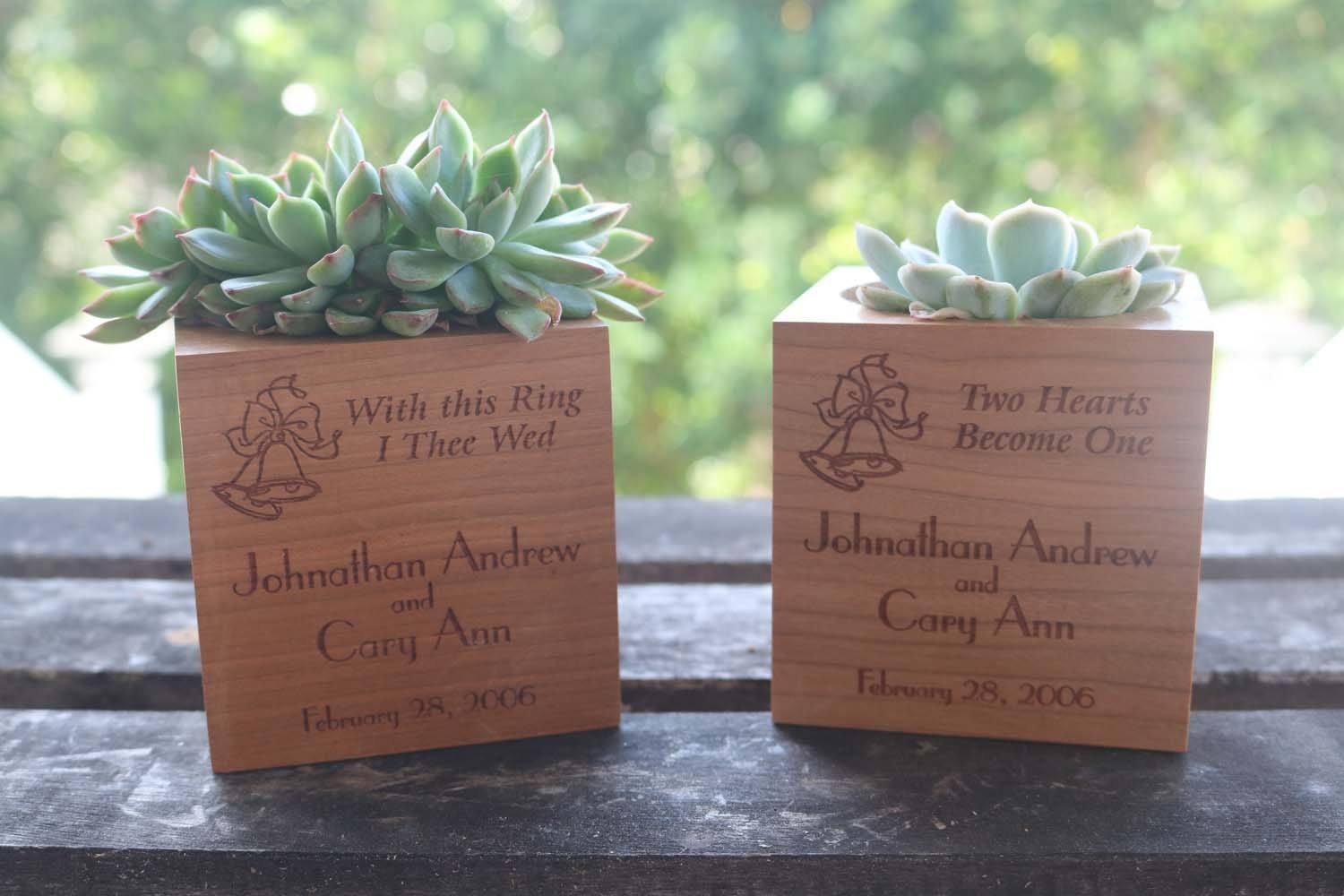 Custom Bridal Party Gift Cube-Succulent - Gift-The Succulent Source