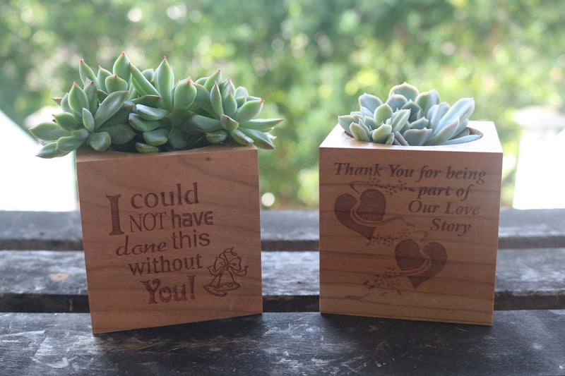 Custom Bridal Party Gift Cube-Succulent - Gift-The Succulent Source
