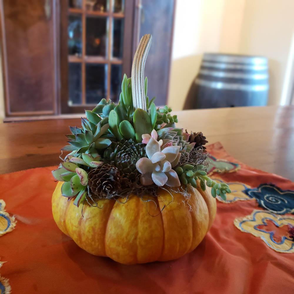 diy succulent pumpkin planter DIY Pumpkin Succulent Kit Fall Decor Halloween Decor