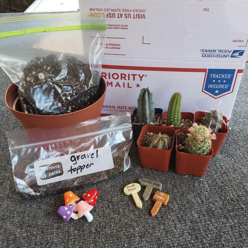 DIY Garden Kit (Succulents or Cactus)-Succulent - Gift-The Succulent Source