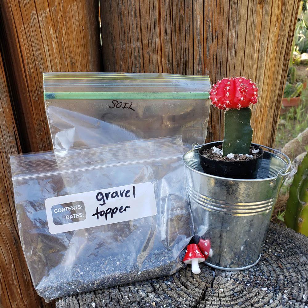 succulent soil topper DIY Succulent Pail Kit for Kids Learning