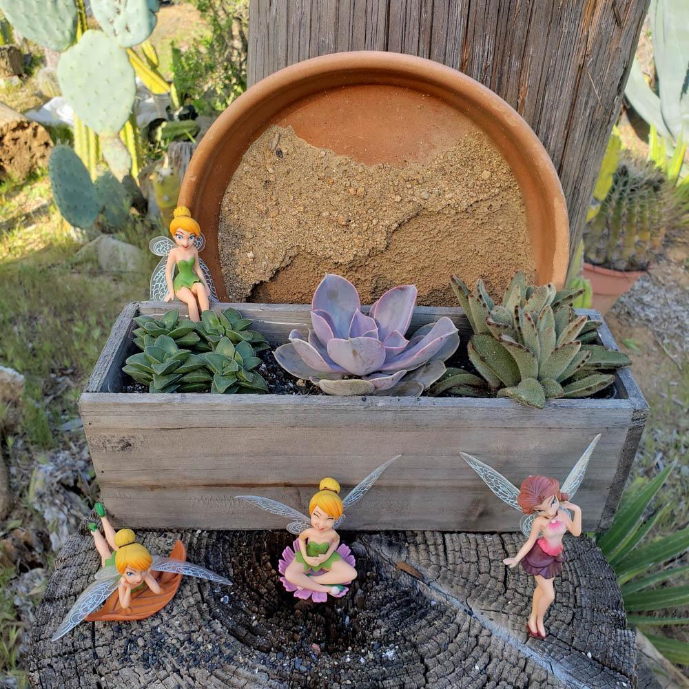 diy succulent planter kit DIY Succulent Wood Box Kit for Kids Learning