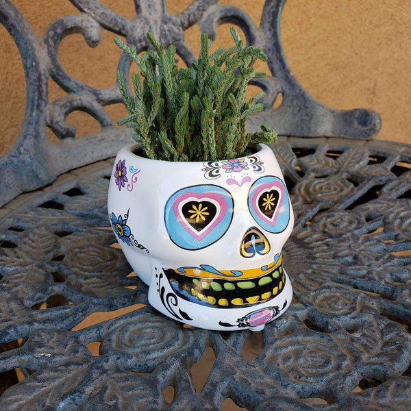 sugar skull pot plant Dia de los Muertos