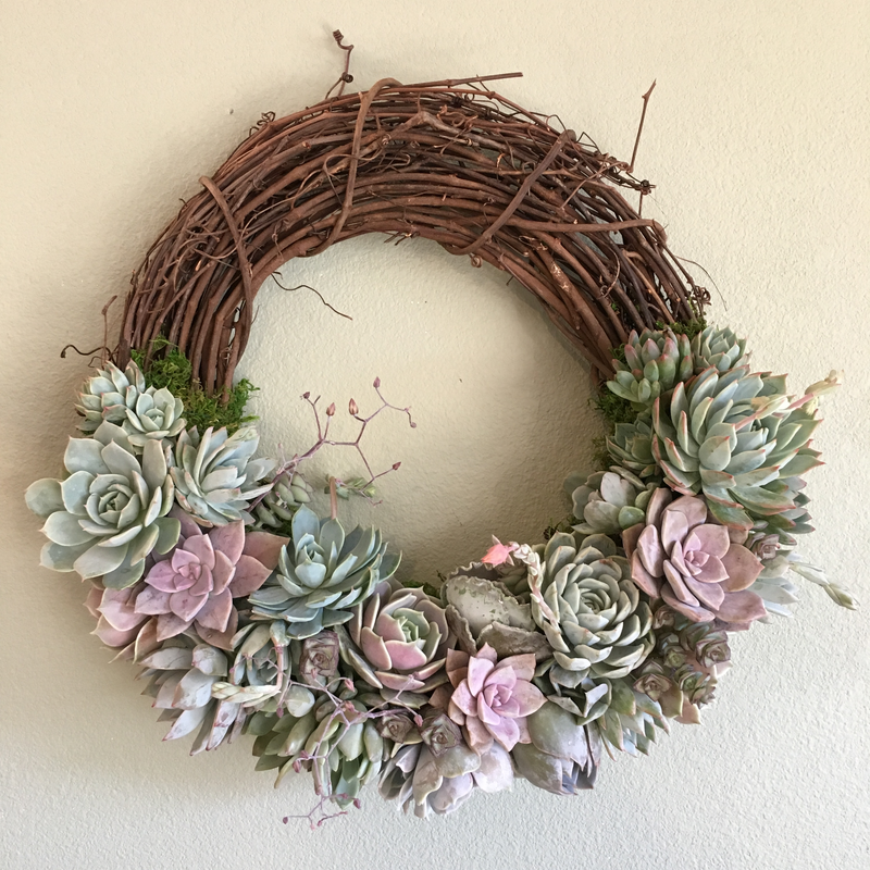 Emilee Grapevine Wreath Trimmed With Succulents.