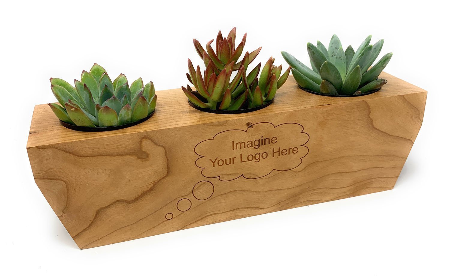 Etched Wood Planter Box-Succulent - Gift-The Succulent Source