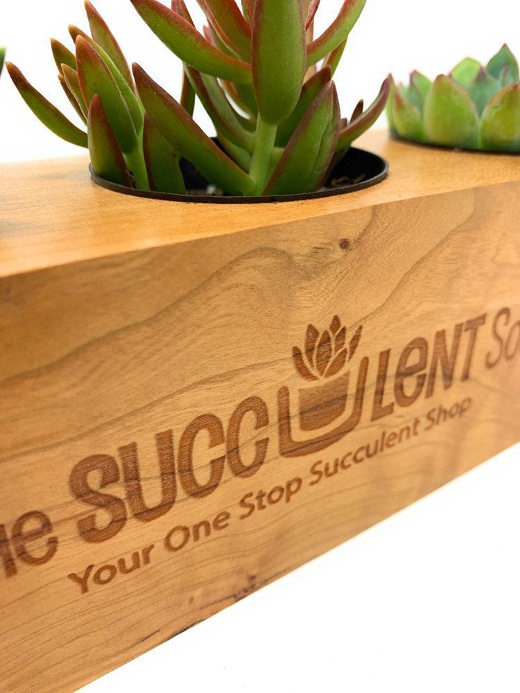 wooden succulent pots Etched Wood Planter Box