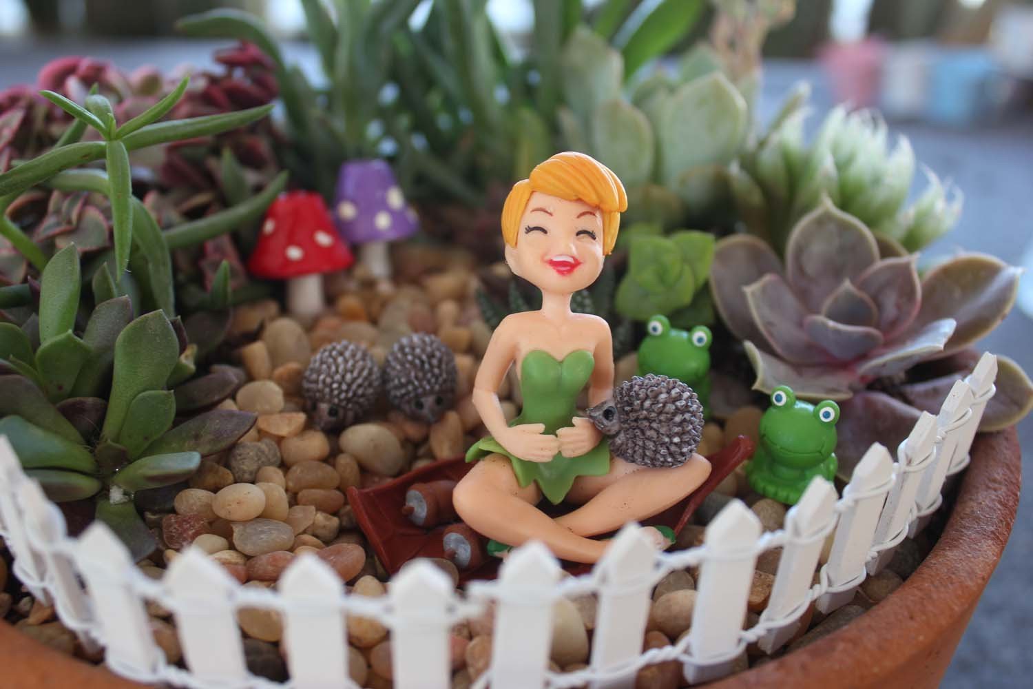 Fairy Garden Items-Accessory-The Succulent Source