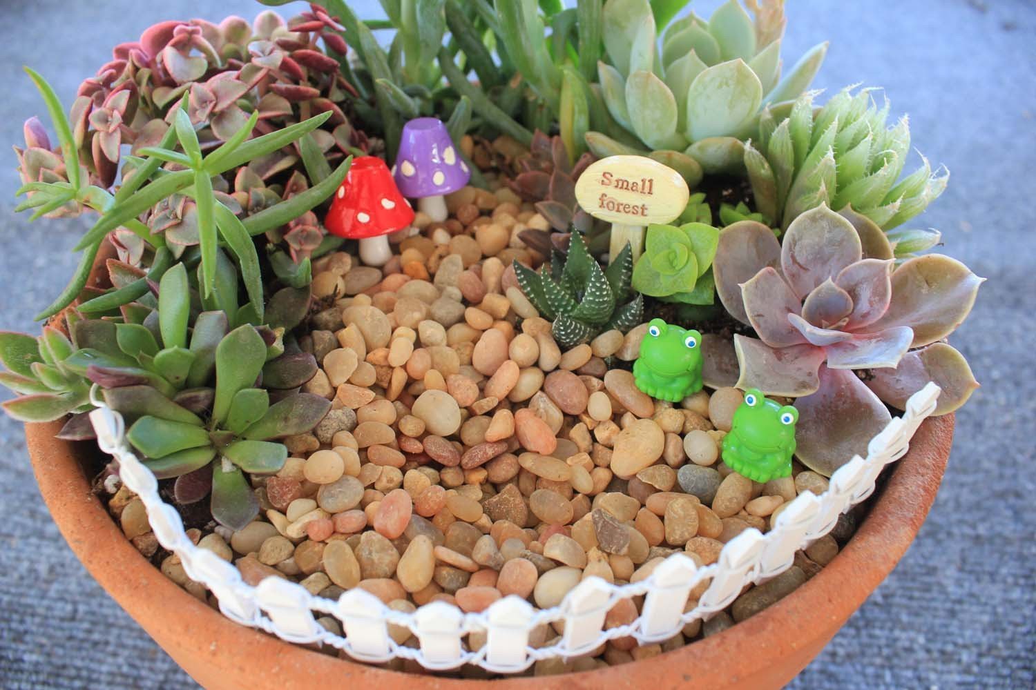 Fairy Garden Items-Accessory-The Succulent Source