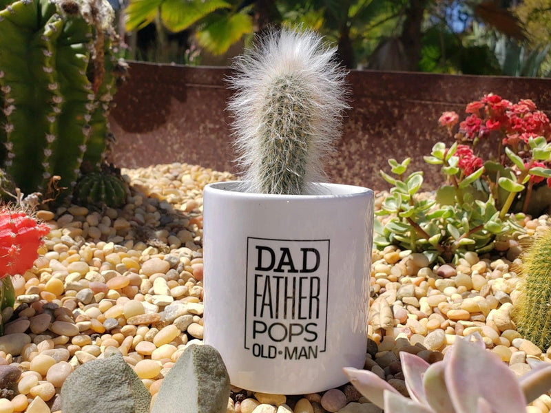 Father's Day OLD MAN Cactus Pot-SayIt-The Succulent Source