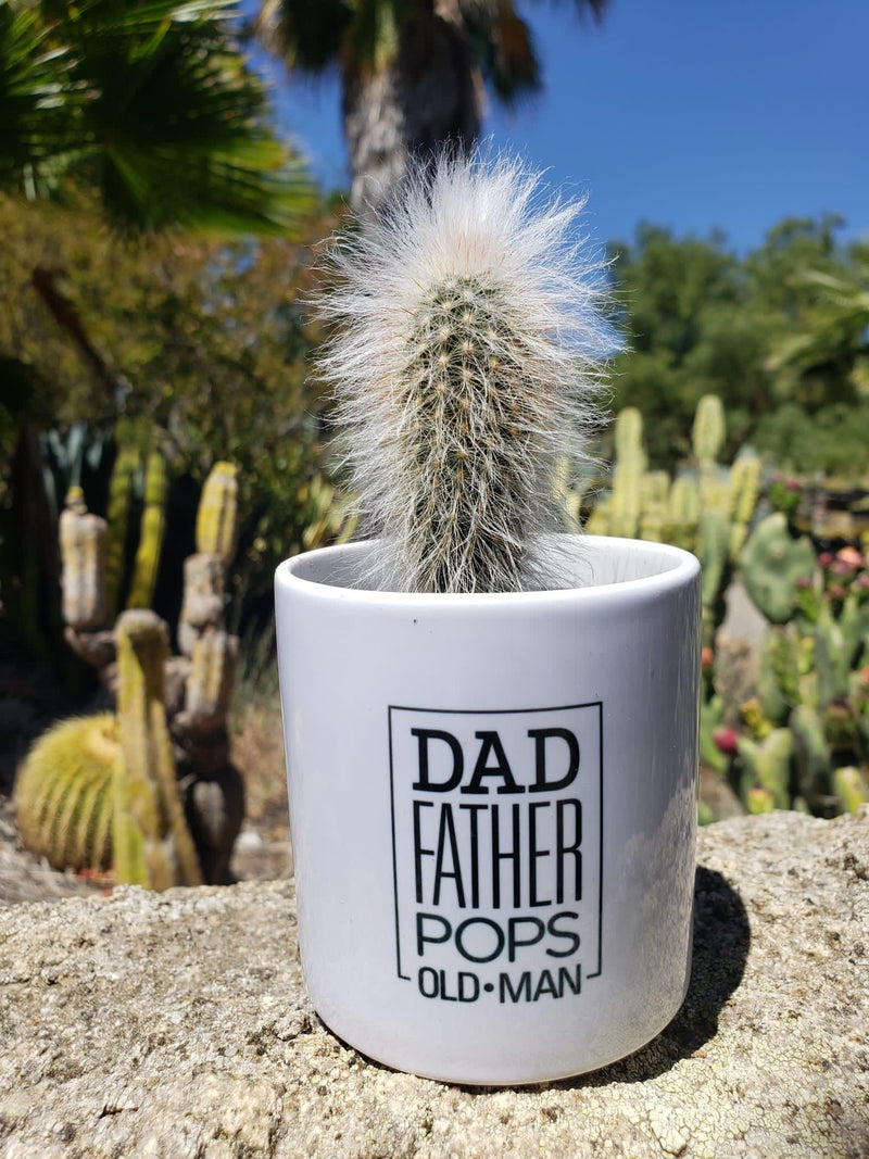 Father's Day OLD MAN Cactus Pot-SayIt-The Succulent Source