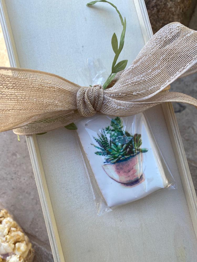 succulent gift bags Corporate Succulent Gift Box